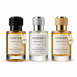 Limited Time Only: Buy 1 Get 2 FREE 50ml Perfume Bundle