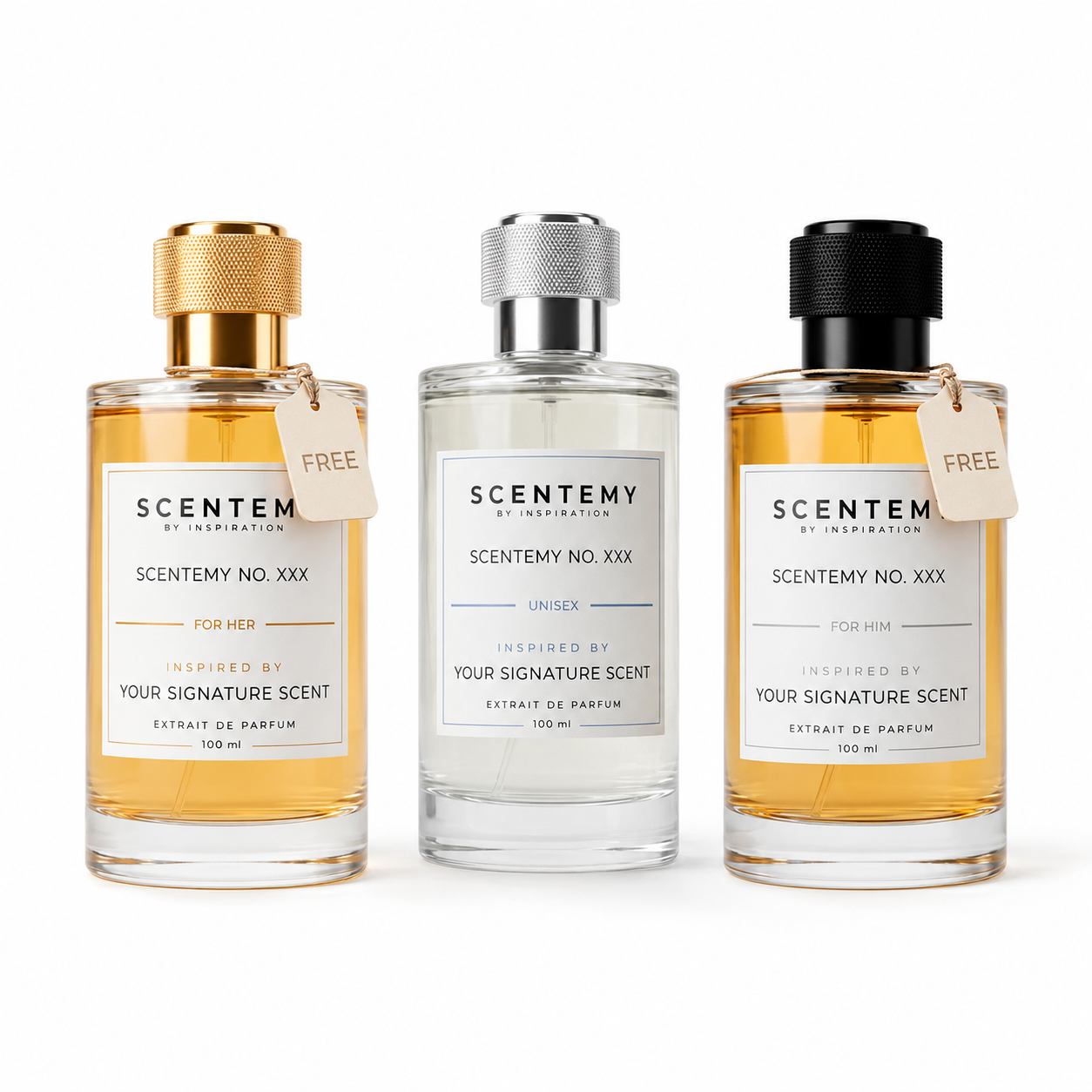 Limited Time Only: Buy 1 Get 2 FREE 100ml Perfume Bundle