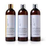 Scentemy No.365 Inspired By Abu Dhabi Memo Paris 2 in 1 Shampoo Unisex 2-in-1 Shampoos by Memo Paris